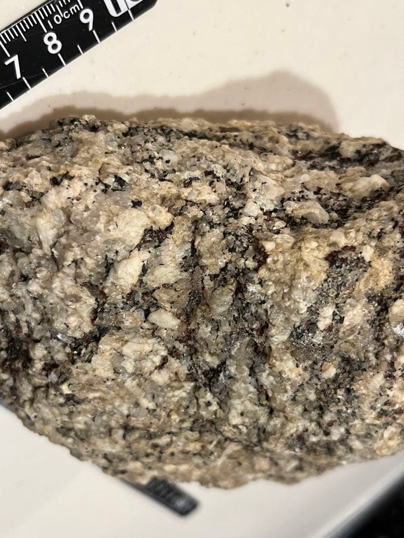 D 南極 南極の石 しらせ  昭和基地 南極観測船　ふじ