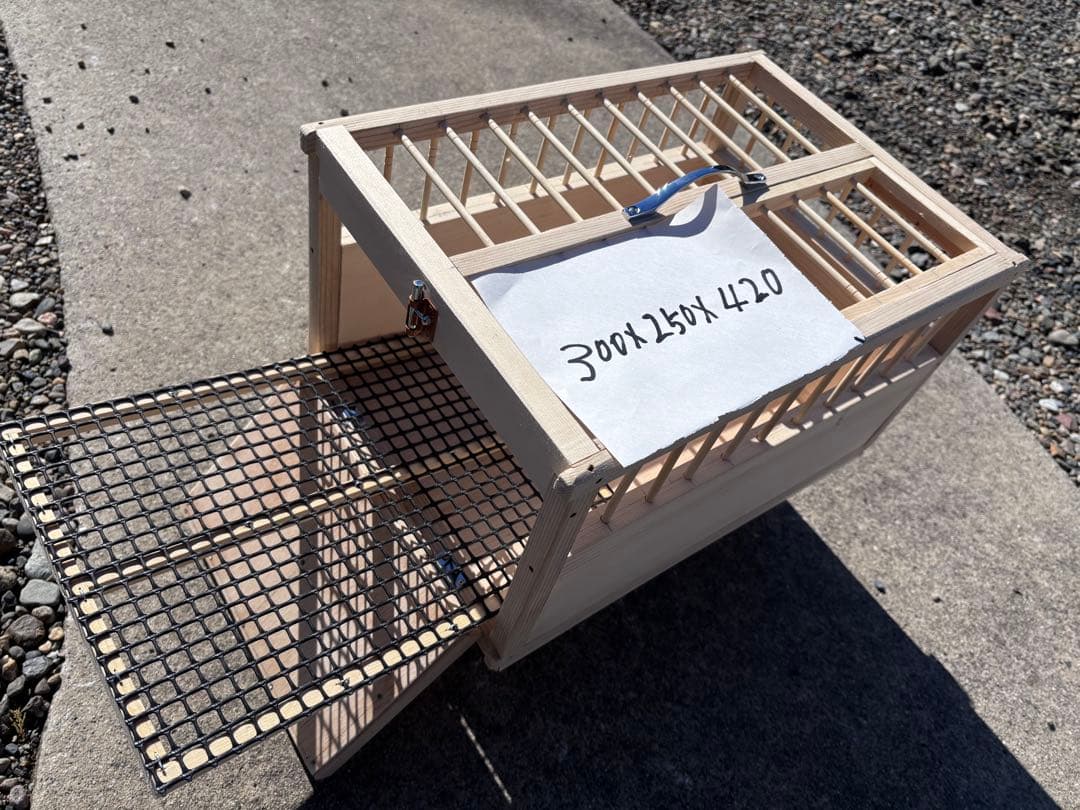レース鳩2〜3用輸送.放鳩カゴ　新品未使用
