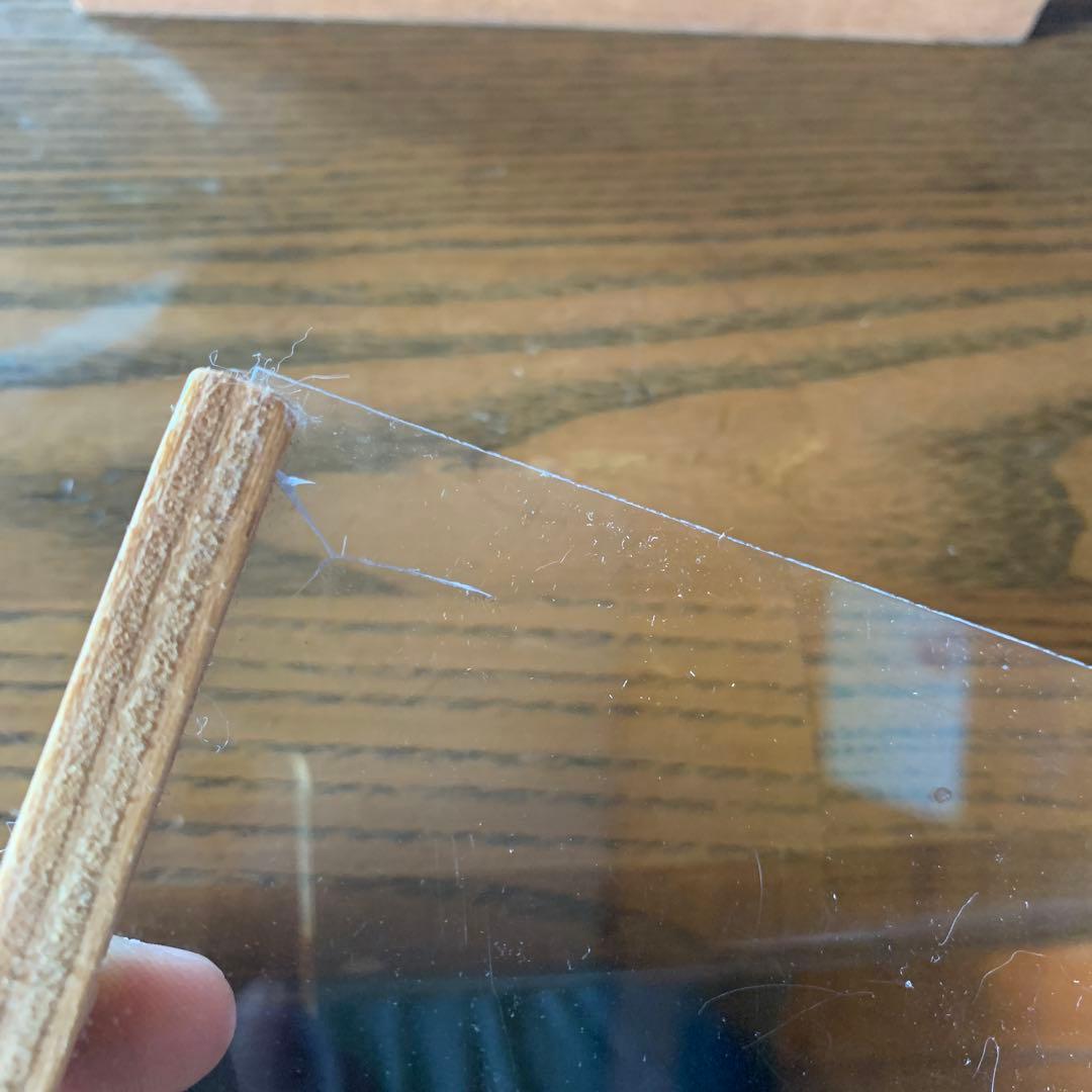 メガロドンの歯の化石