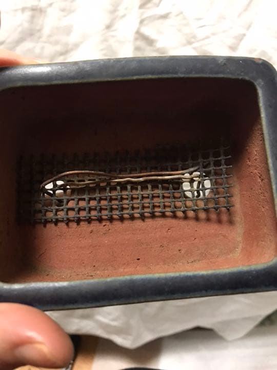 盆栽鉢　時代ミニ盆栽鉢燿山長方鉢2個山野草サボテン多肉植物