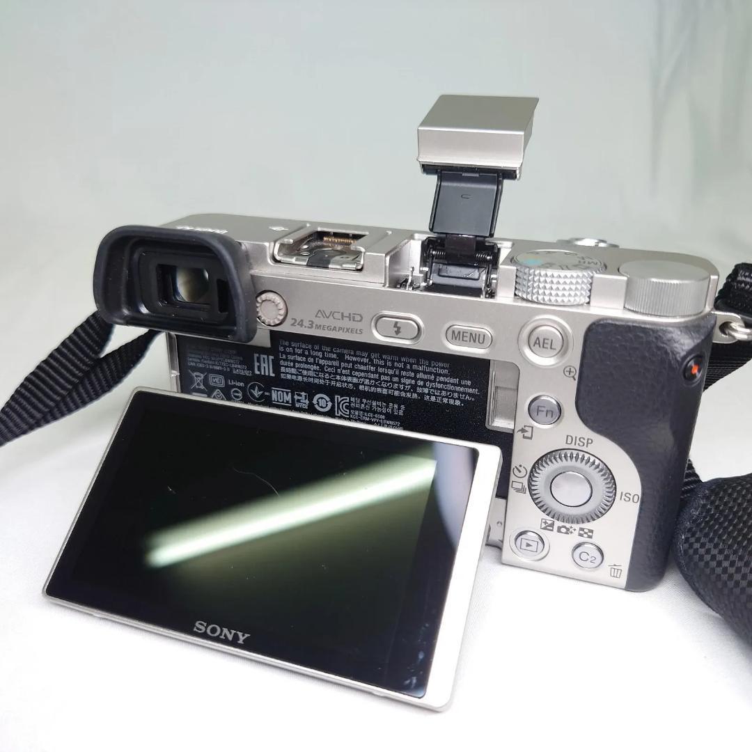 SONY ソニー α6000 ILCE-6000 SELP1650 動作確認済み