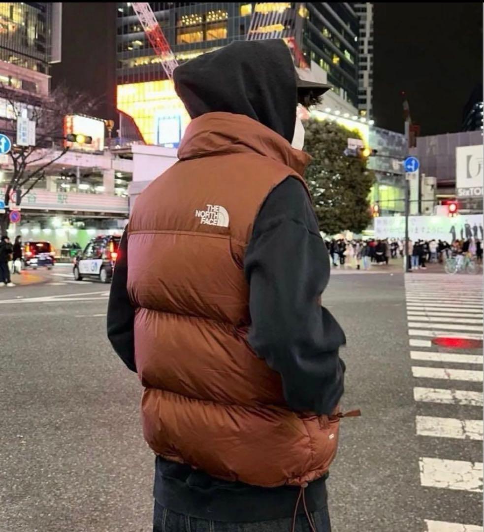 ヌプシベスト　ダークオーク