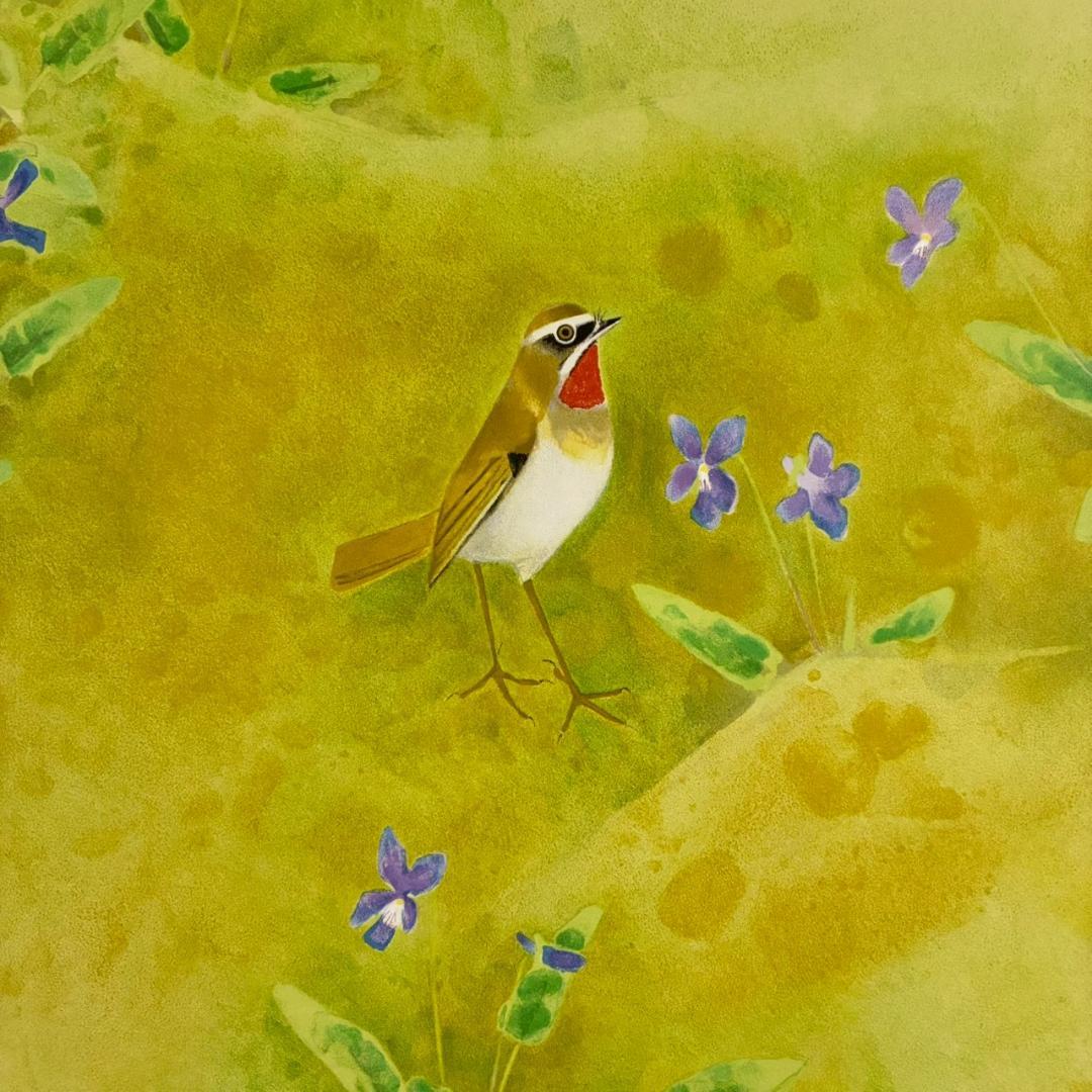 美品 上村松篁「春野」リトグラフ 直筆サイン・印章入 保証書有 花鳥画 上村松園