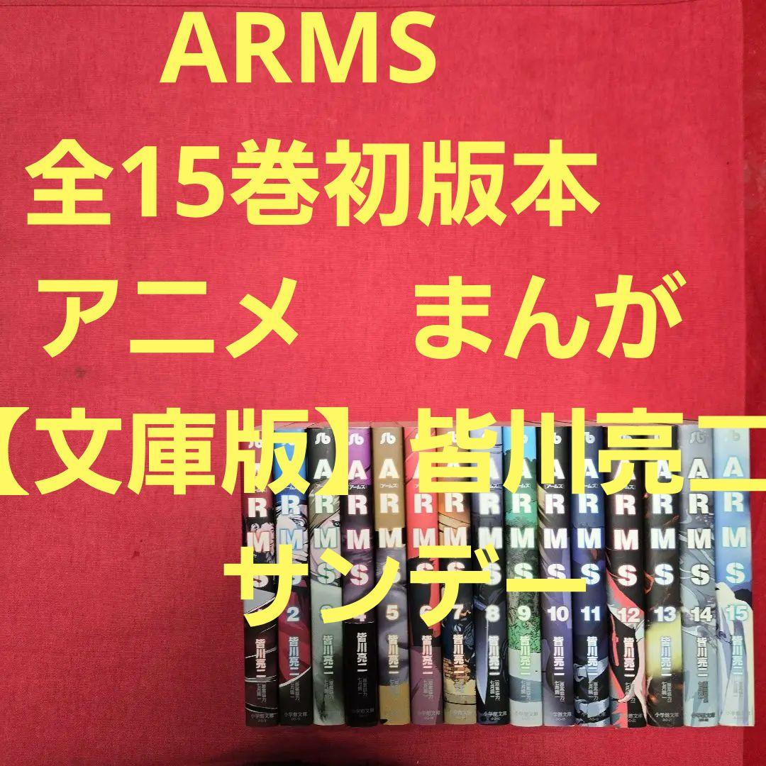 ARMS 　全15巻初版本　アニメ　まんが【文庫版】皆川亮二　アームズ　サンデー