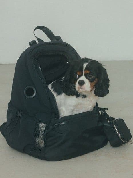 MATIE/ペットリュックＭ【Direction by 有末 麻祐子】