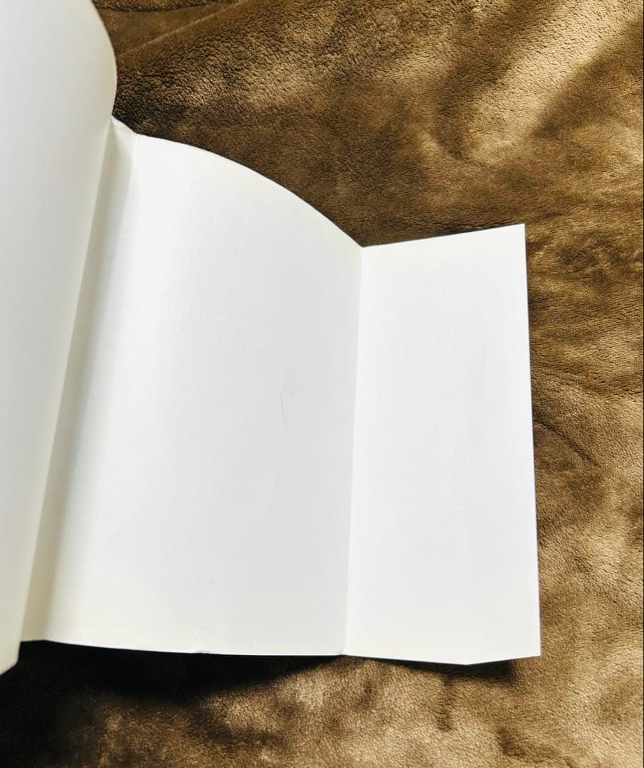 【初版】ドラゴンボール 1巻 1985年 第1刷発行 鳥山明 初版本