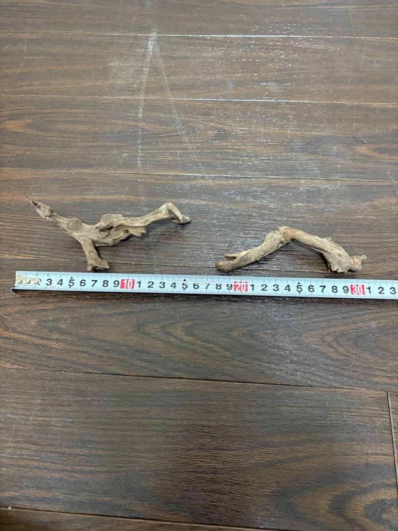 ADA ホーンウッド　7本まとめ売り