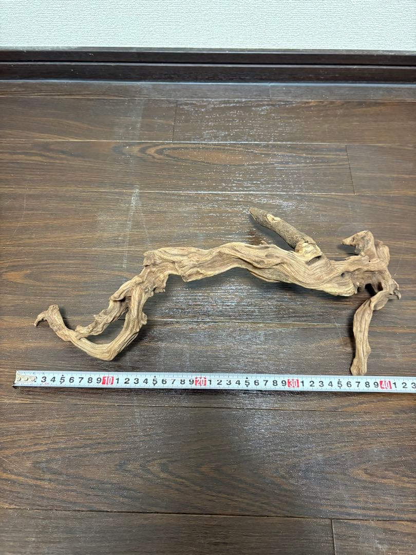 ADA ホーンウッド　7本まとめ売り