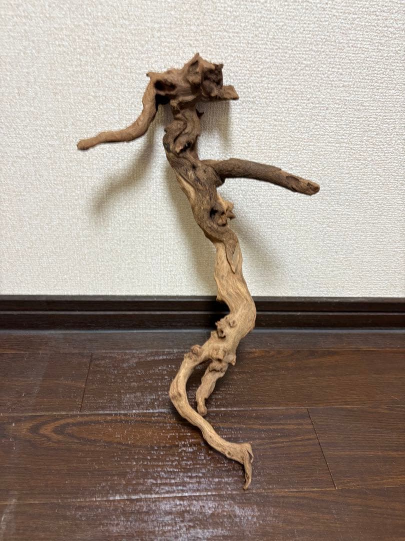 ADA ホーンウッド　7本まとめ売り