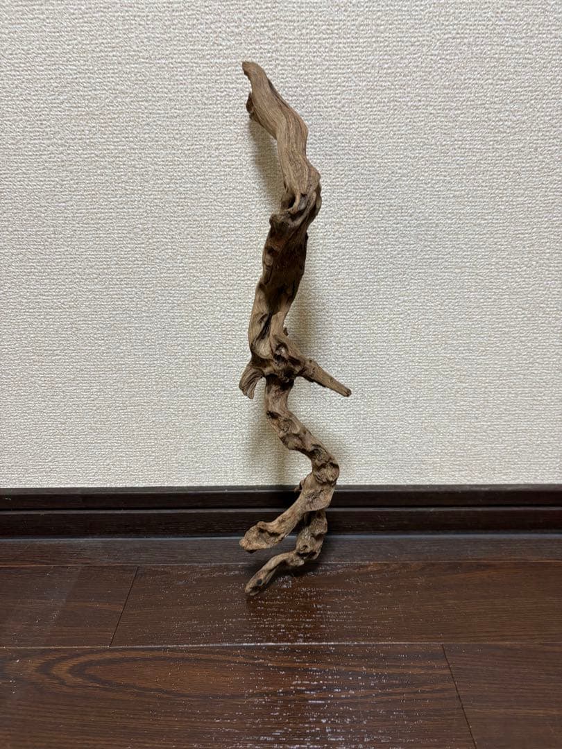 ADA ホーンウッド　7本まとめ売り