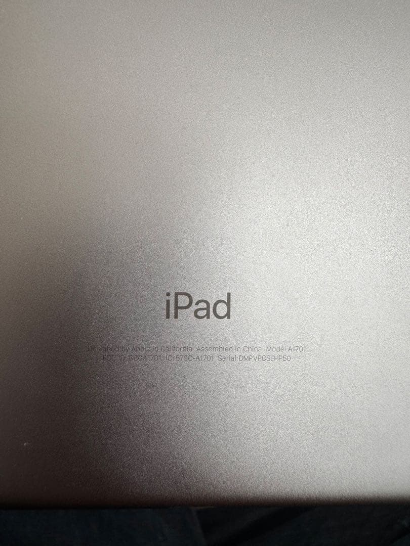 あきさん専用 【本体のみ】iPad Pro (第1世代) ￼256GB