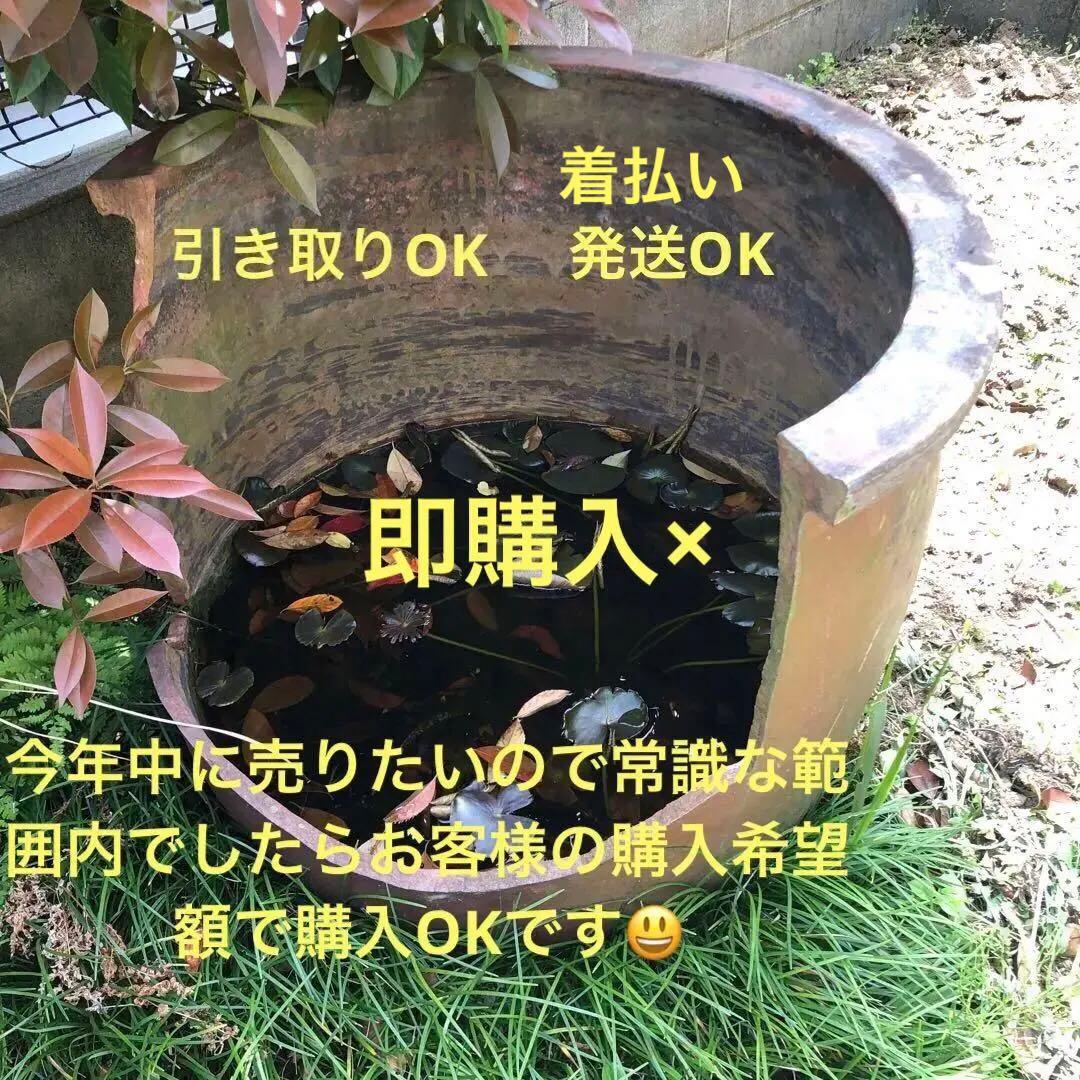 昭和レトロ 陶器製 金魚鉢　骨董品　アンティーク　メダカ　レトロ