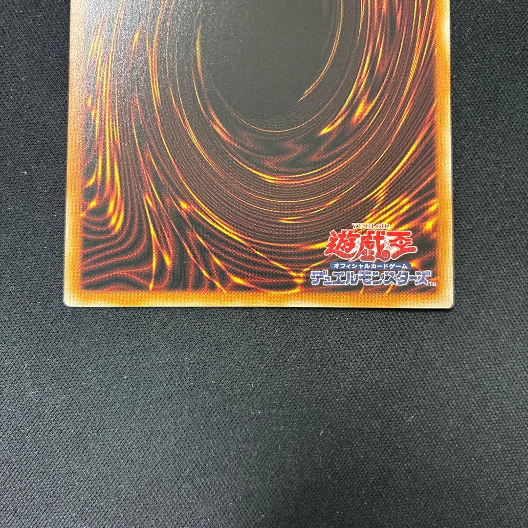 聖域を守護せし光の龍