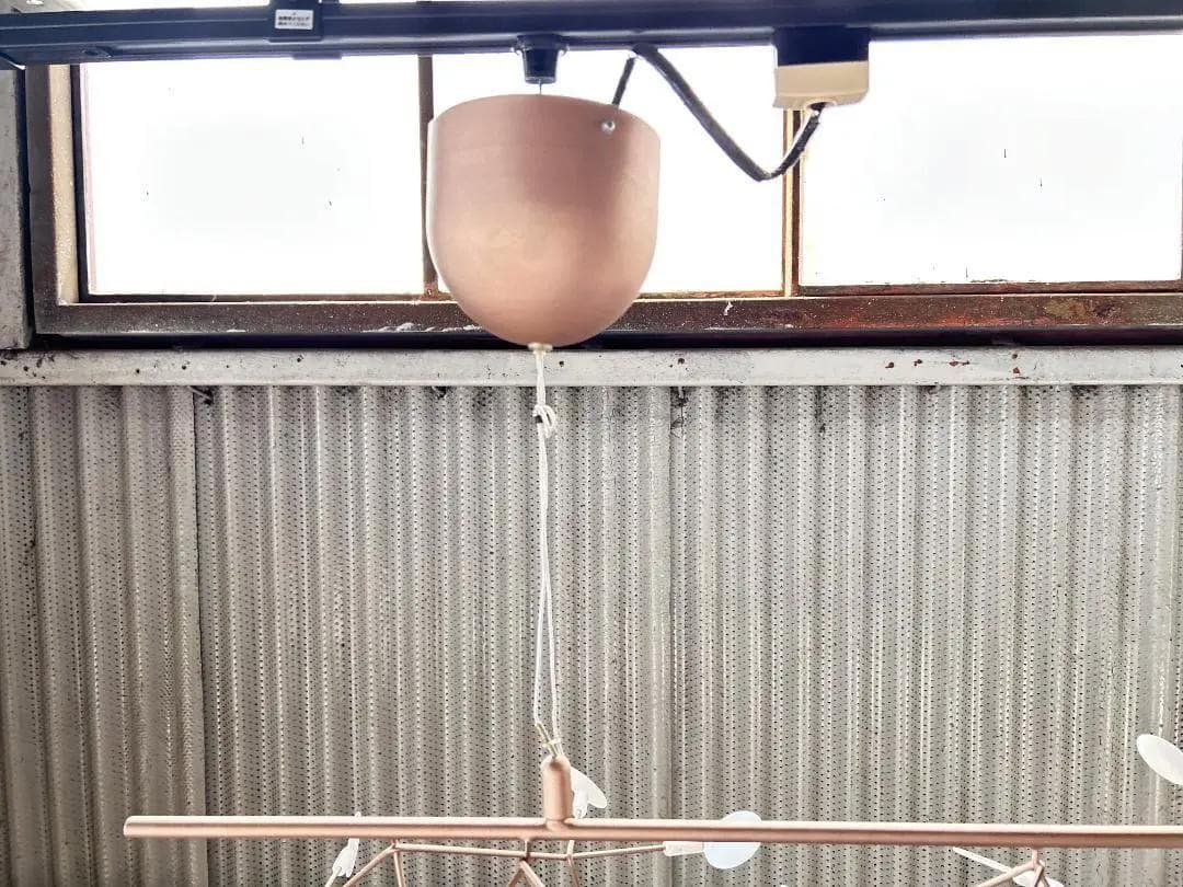 【美品】mooi / モーイ｜ヘラクレウムエンドレス｜ペンダントライト