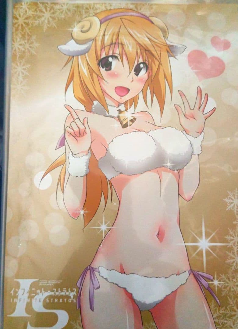 リバーシブルお風呂ポスターシャルロット・デュノアIS<インフィニット・ストラトス