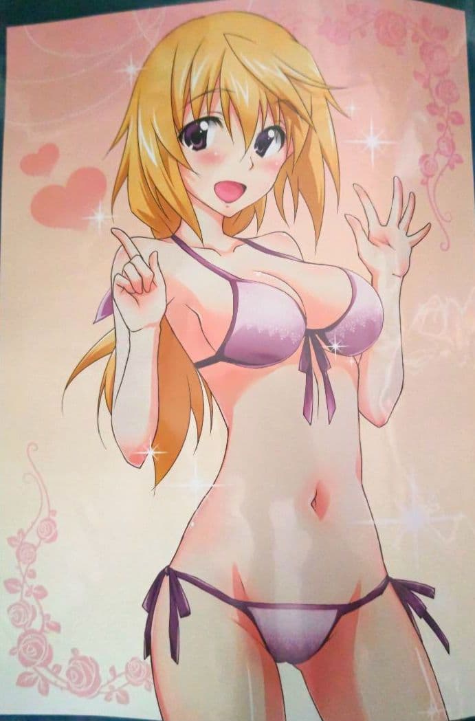 リバーシブルお風呂ポスターシャルロット・デュノアIS<インフィニット・ストラトス