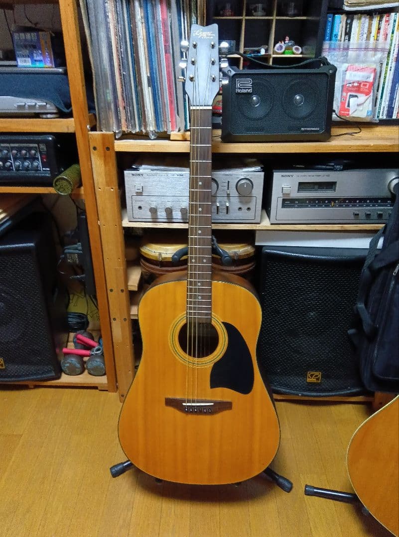 WASHBURN アコースティックギター ドレッドノート