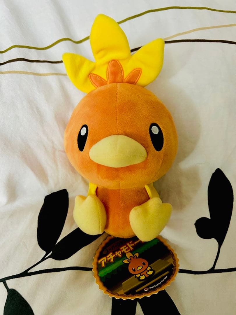 アチャモドール