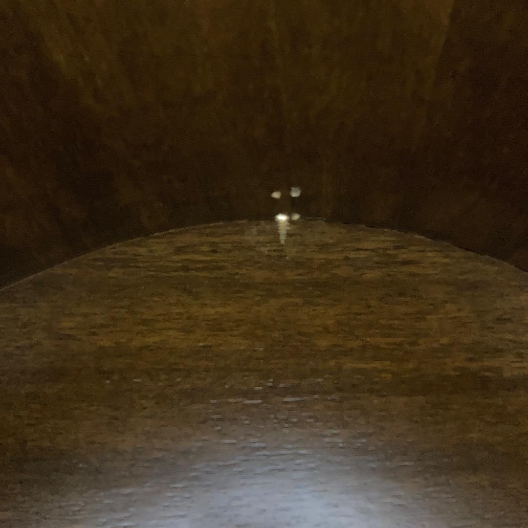 アンティーク キュリオケース 飾り棚 ショーケース キャビネット