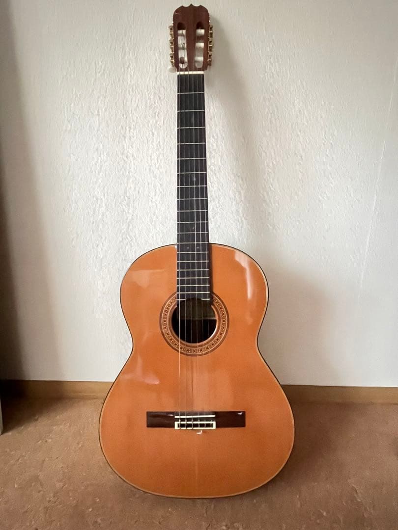 Ryoji matsuoka m65 クラシックギター