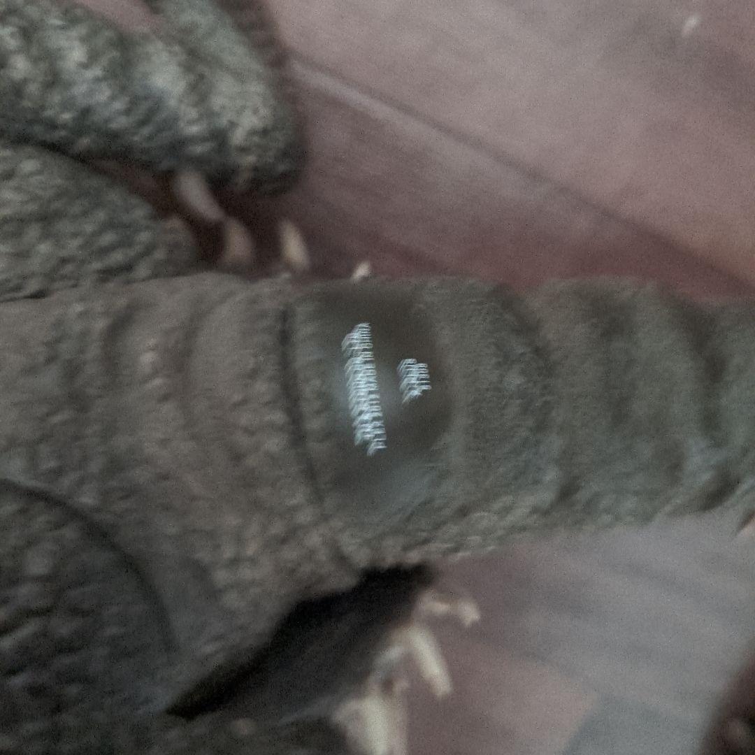 エクスプラス 大怪獣シリーズ　アンギラス