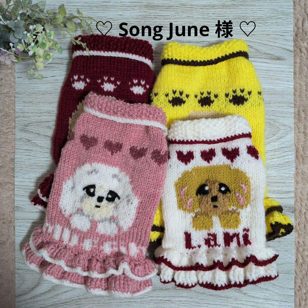 ☆ Song June様　ハンドメイド犬服ニット ☆