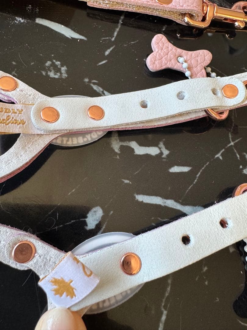 バディベルト　bb ハーネス・リード6点セット