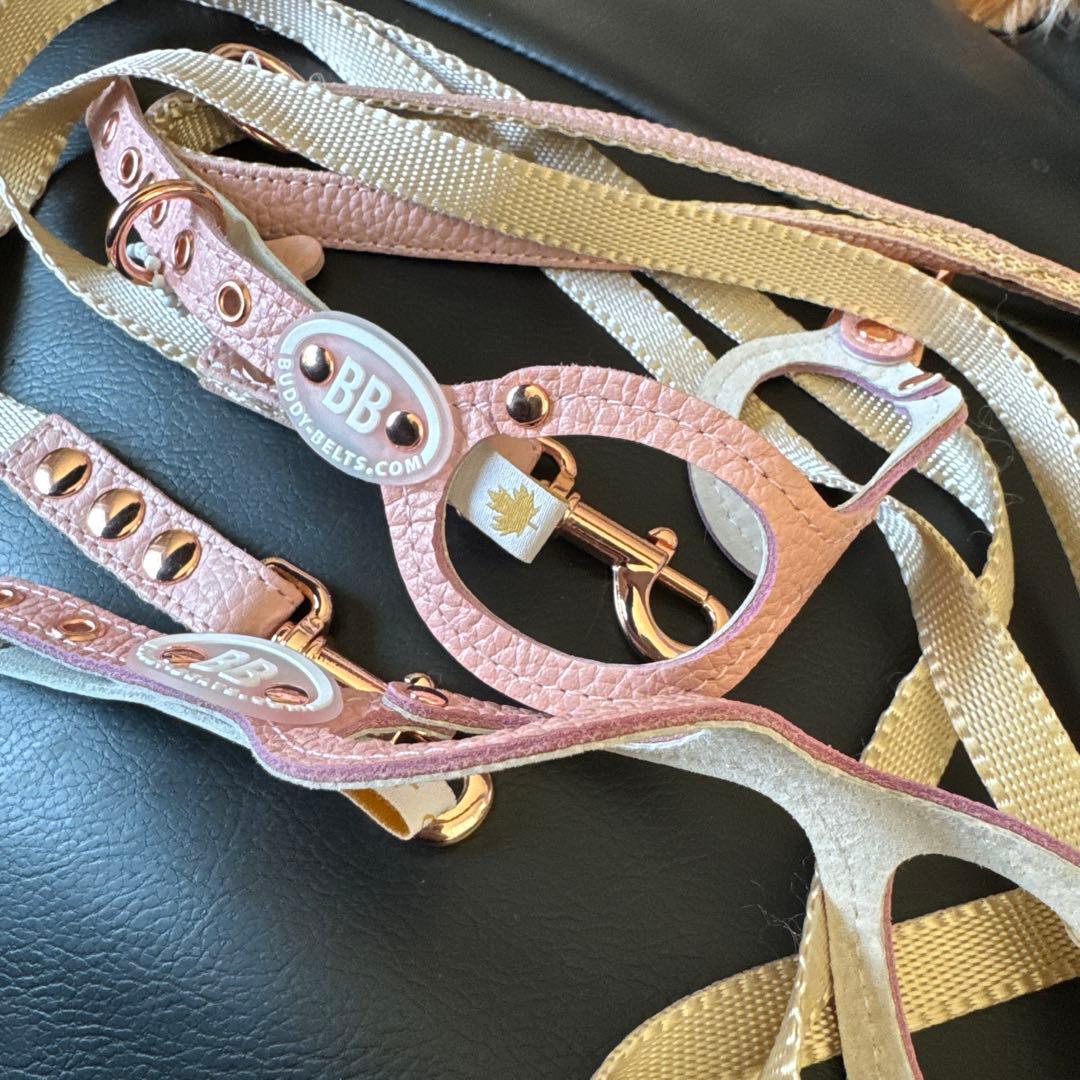 バディベルト　bb ハーネス・リード6点セット