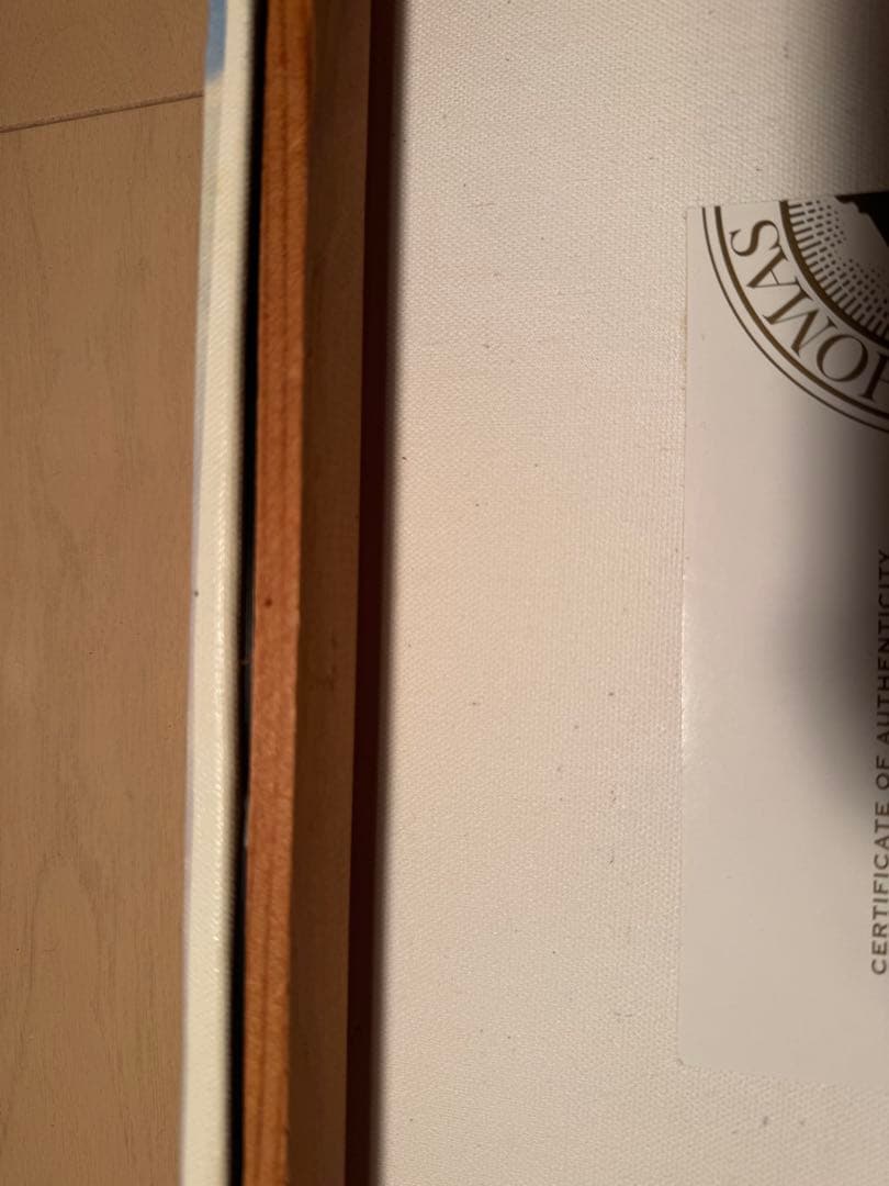 【正規品★カリフォルニアディズニー購入品】 シンデレラ城 キャンバスアート