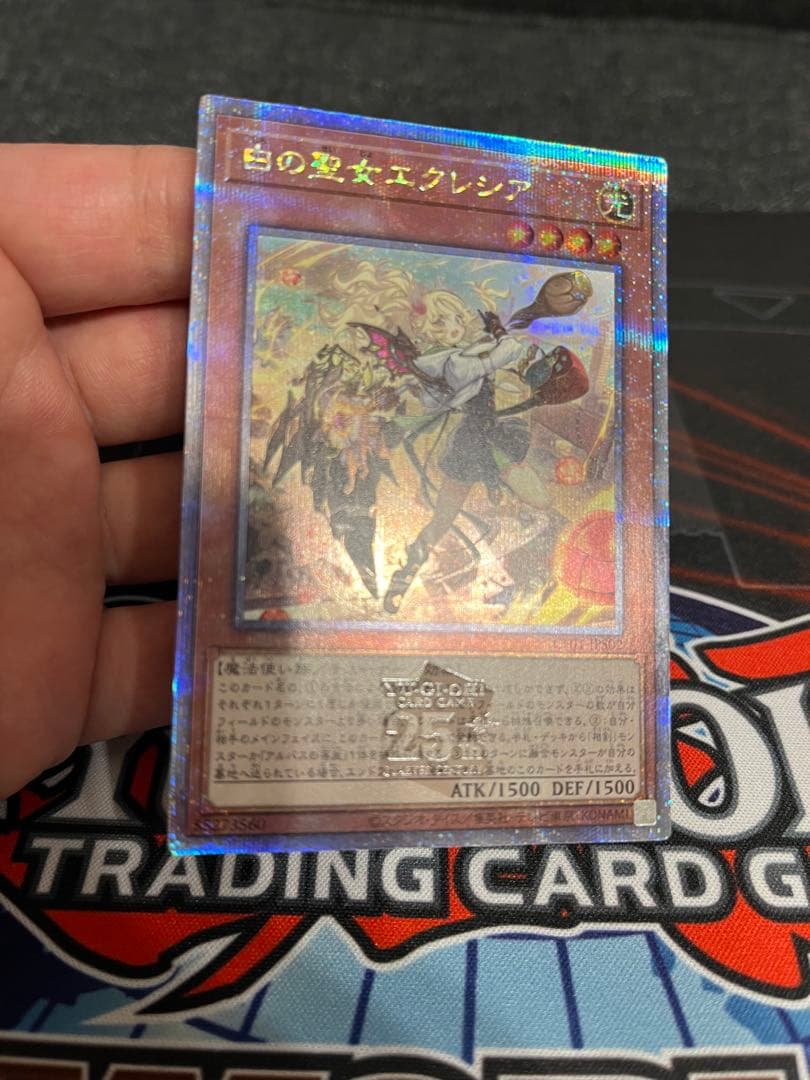 白の聖女エクレシア 25th