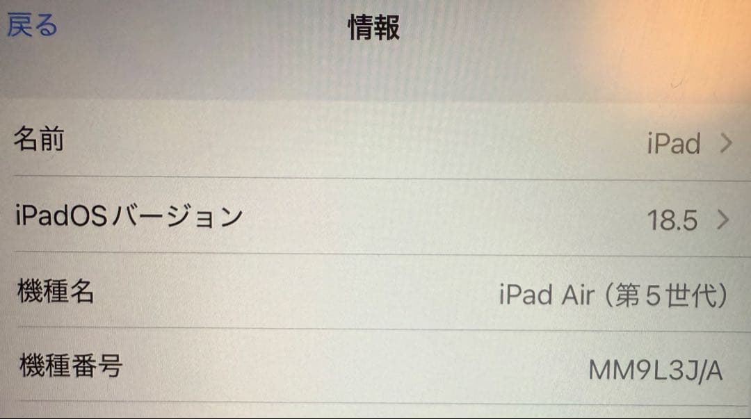 【美品】10.9インチiPad Air Wi-Fiモデル 256GB 第5世代