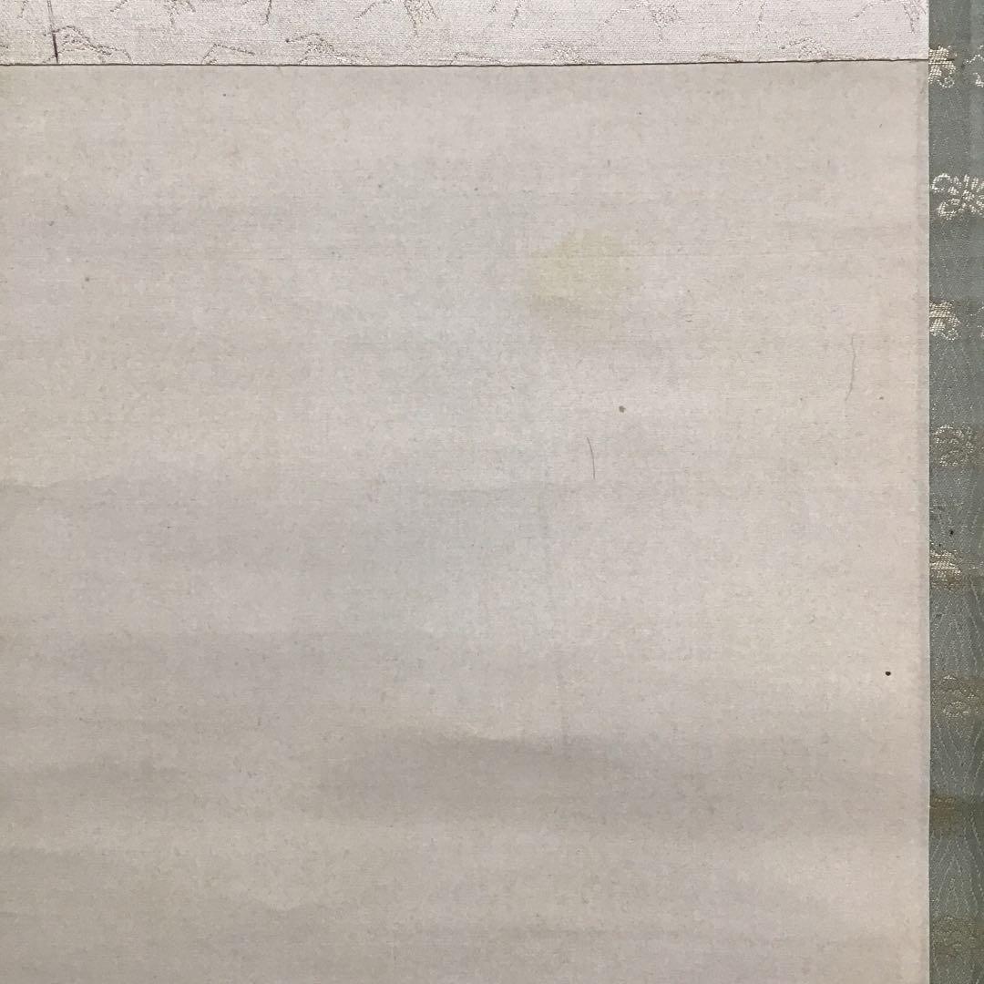 K茶道具　掛軸　杜若(かきつばた)　小寺雲洞作(明治ー昭和)共箱　S1014KJ