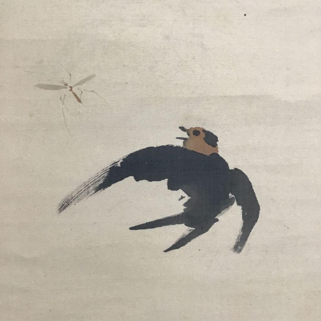 K茶道具　掛軸　杜若(かきつばた)　小寺雲洞作(明治ー昭和)共箱　S1014KJ