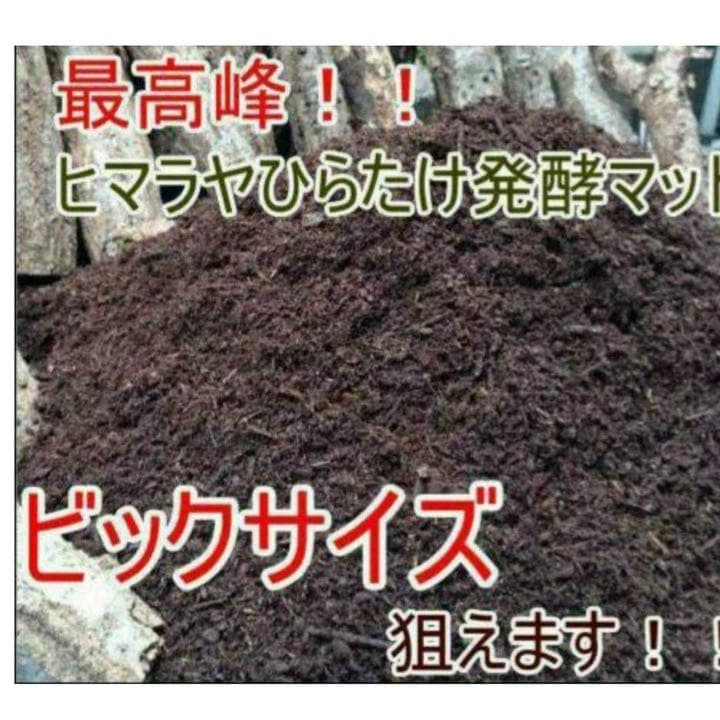カブトムシ幼虫の大量飼育に！たっぷり100リットル【10袋】高品質の発酵マット