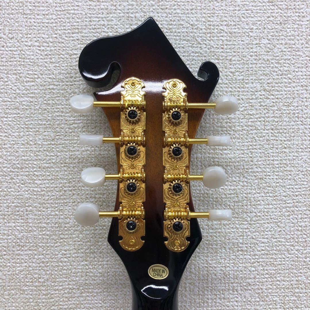 PLAY TECH プレイテック F型 マンドリン ハードケース付き