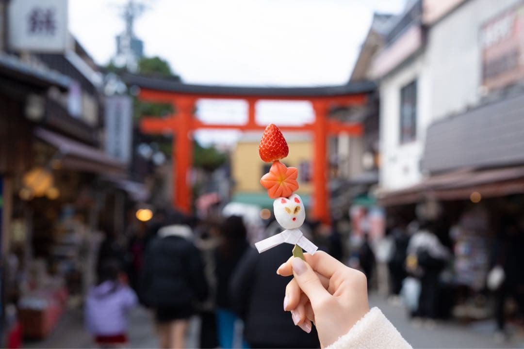 FE 50mm F1.4 ZA 単焦点レンズ Zeiss SONY