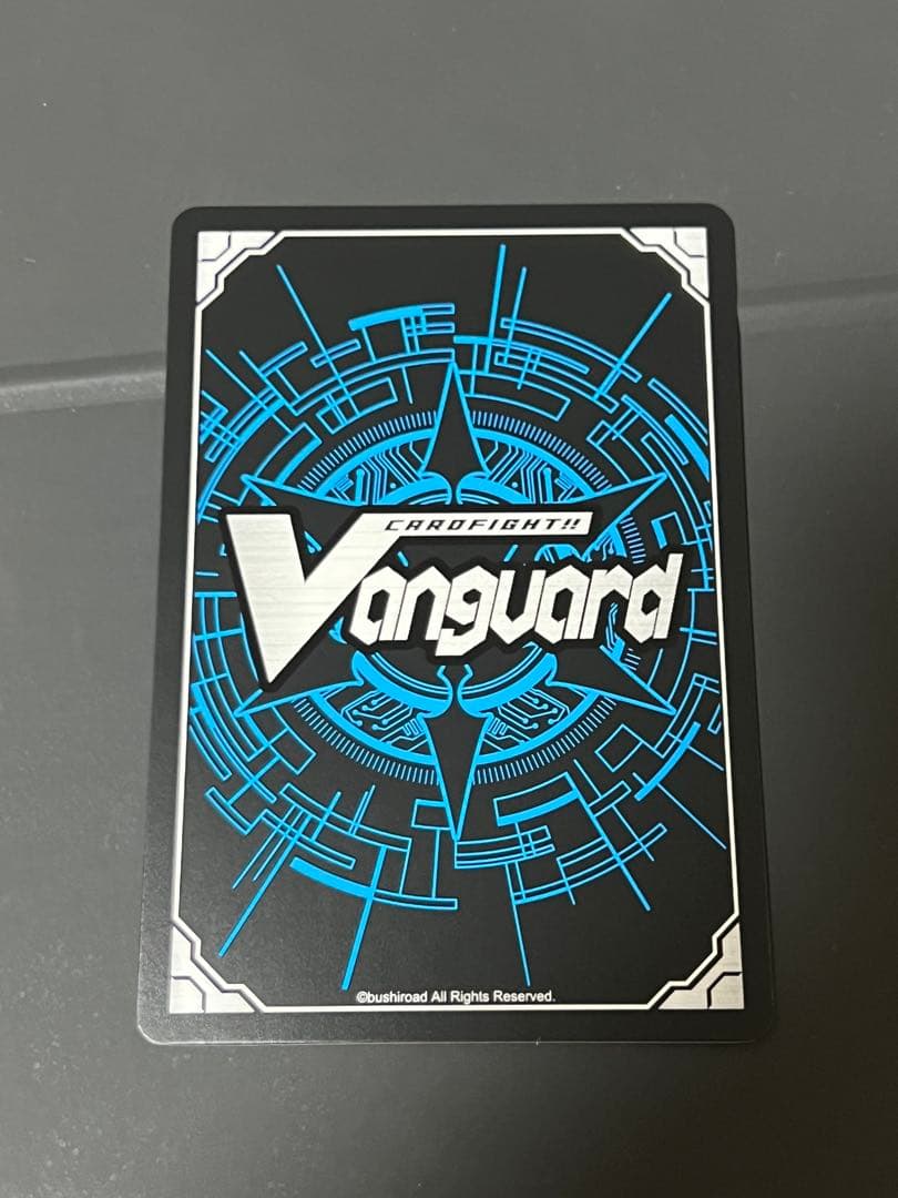 スノウスキップ パルヴィ TGR+