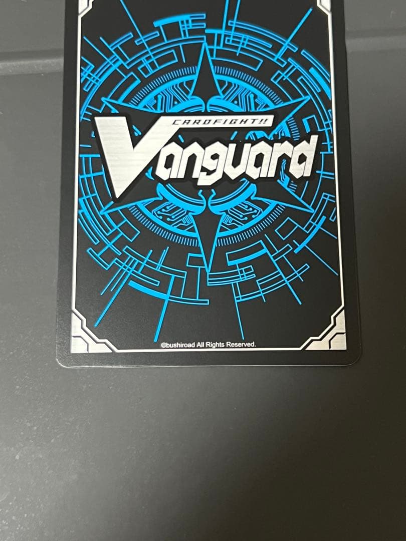 スノウスキップ パルヴィ TGR+