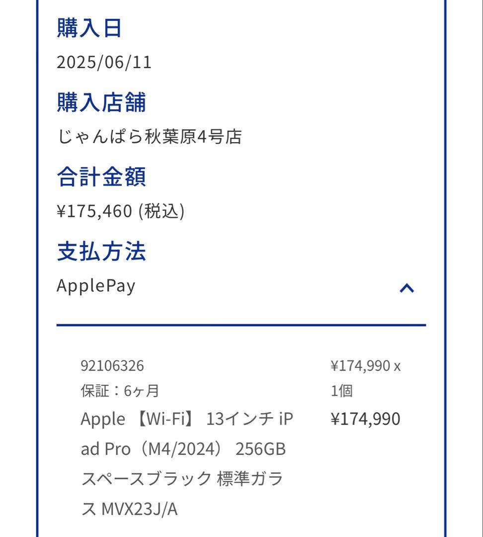 iPad Pro M4 13インチ　Wi-Fi 256 スペースブラック
