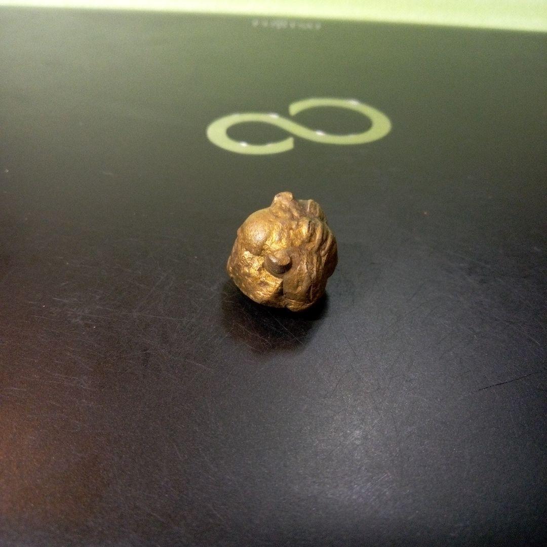 三葉虫　化石　fossil　ボリビア産　レア　Fossil管理⑥