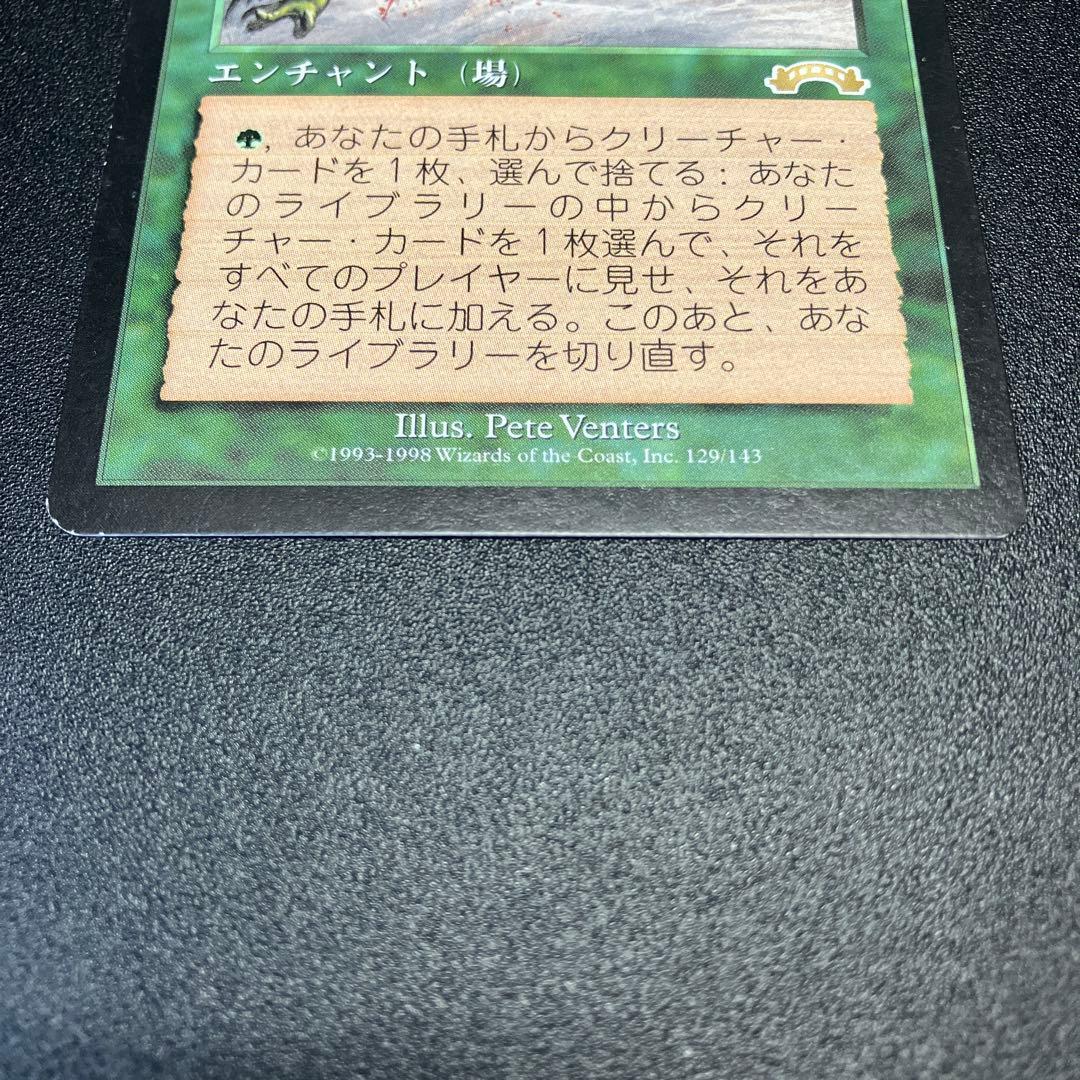 MTG 適者生存　日本語　再録禁止