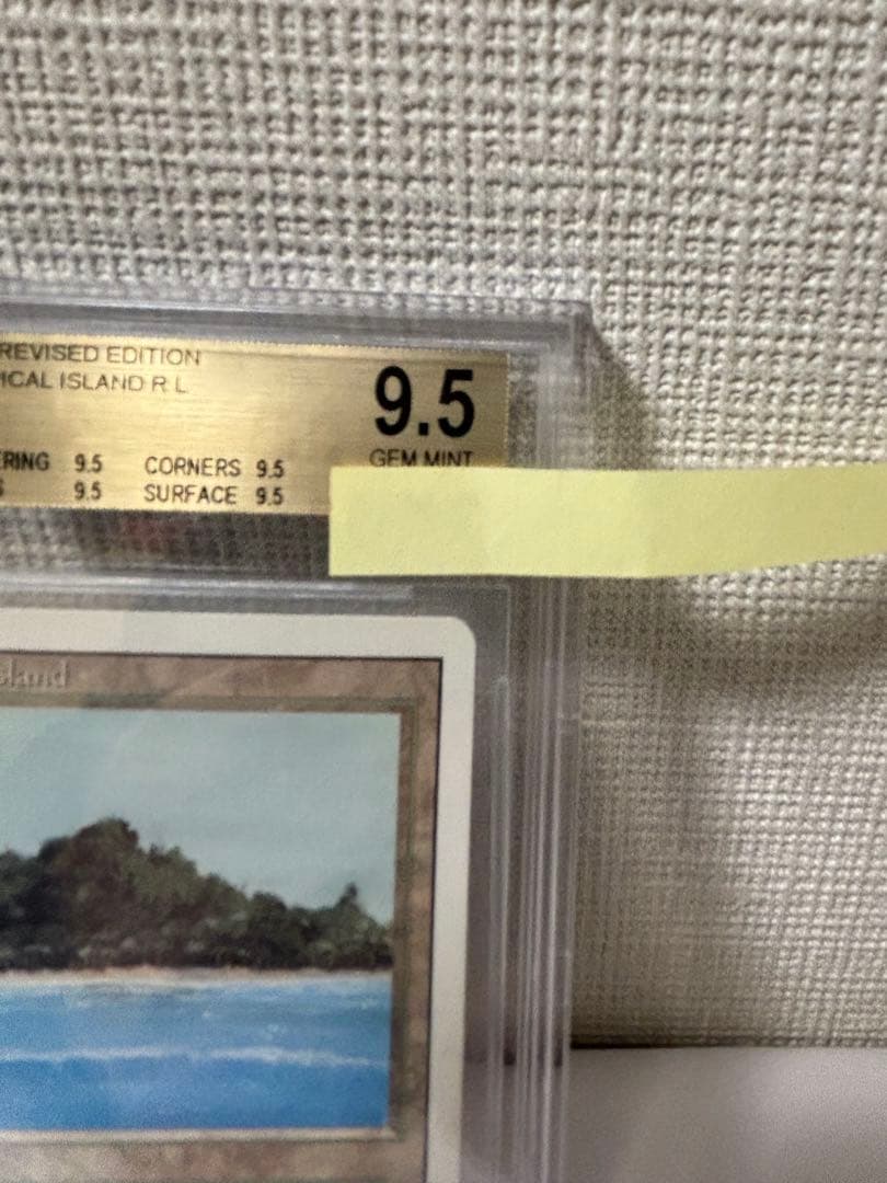 Tropical  BGS9.5 デュアルランド