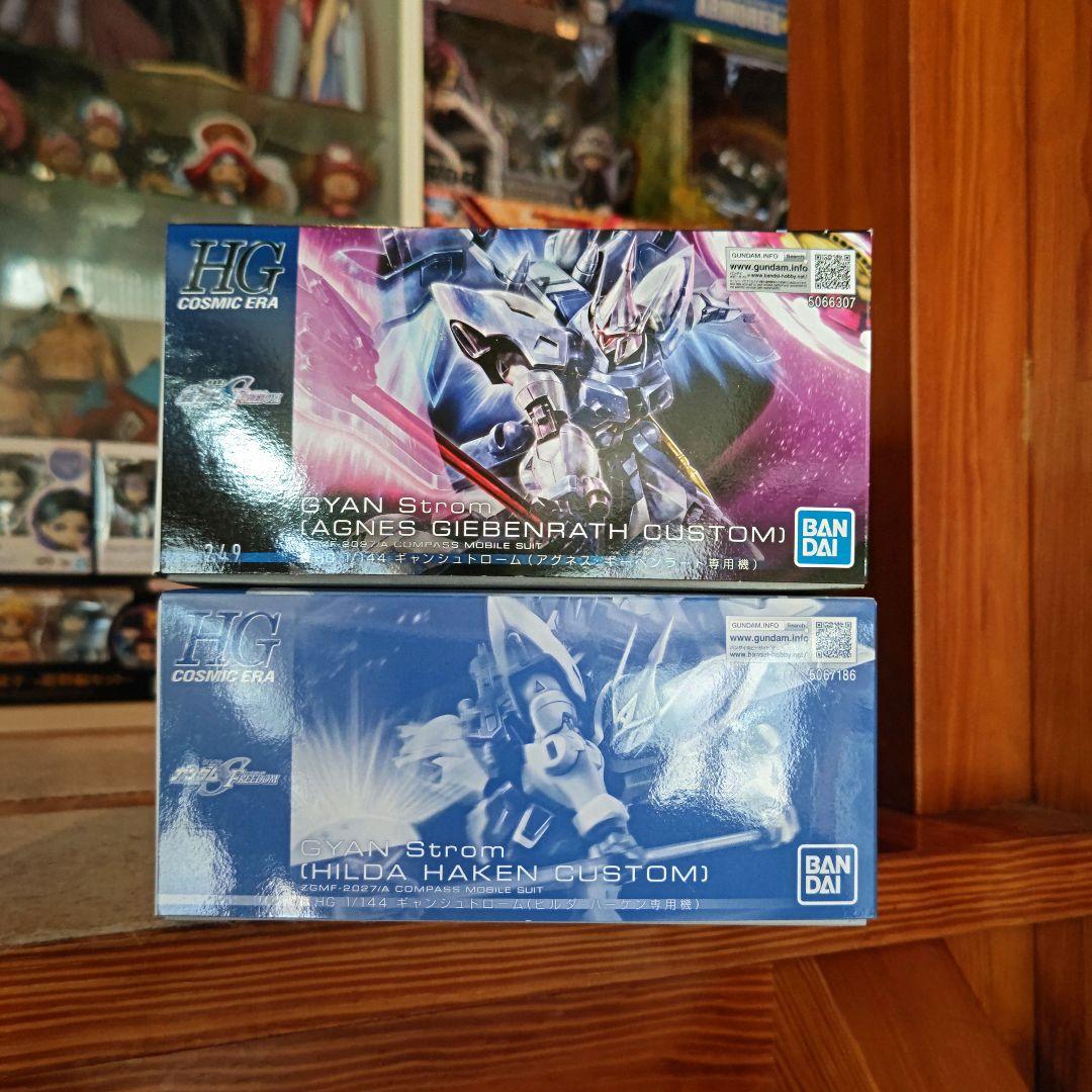 ガンプラ 未組立 HG ギャン_シュトローム アグネス機 ヒルダ機 ２点セット