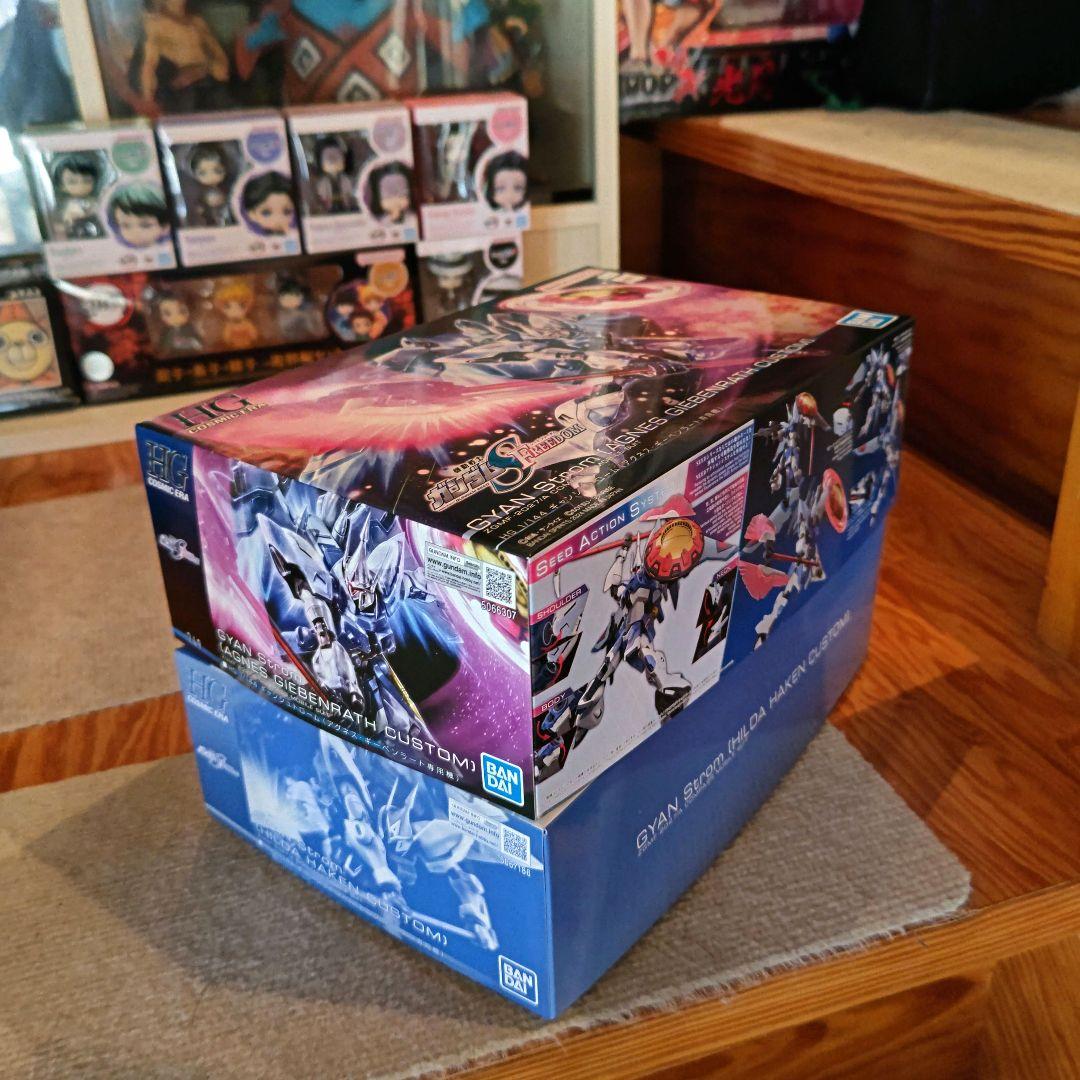 ガンプラ 未組立 HG ギャン_シュトローム アグネス機 ヒルダ機 ２点セット