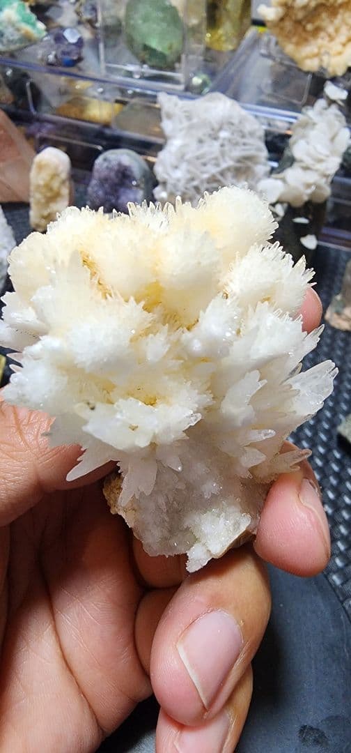 白いアラゴナイトの花