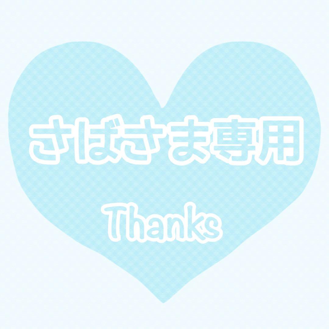 ♡さばさま専用❷♡ トリミングチョーカー