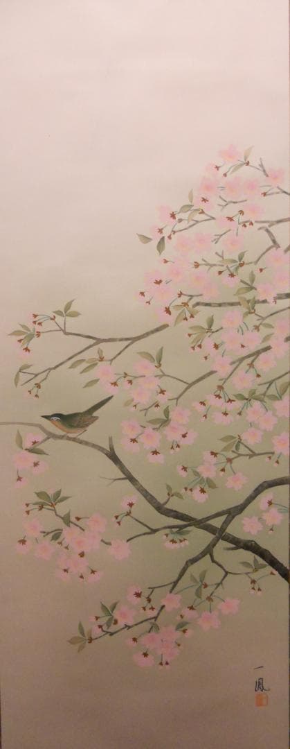 掛け軸 高井一鳳 『 桜に小禽 』 絹本 希少 軸装 茶道具 掛軸 美品 です。