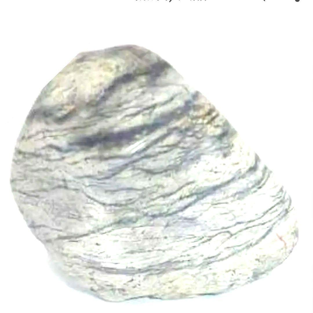 置石 ポリッシュ済み 重さ1.３kg