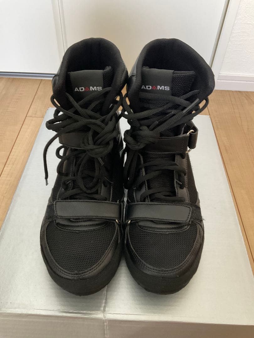 ボクシング douraku1967