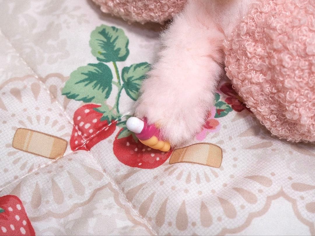 チムたん　もこもこバニー　Sekiguchi　セキグチ　モンチッチ 専用靴付